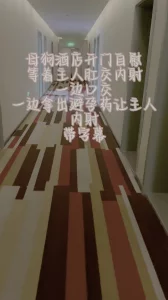 [原创]带字幕酒店开门自慰，一边吃避孕药一边让主人内射6分28有认证