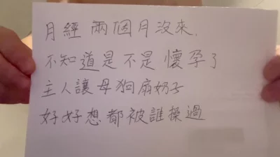 准孕狗被罚求围观羞辱